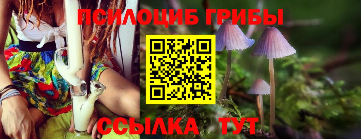 Псилоцибиновые грибы Psilocybine cubensis  Вход с VPN  Псилоцибиновые грибы мухоморы  Пенза 